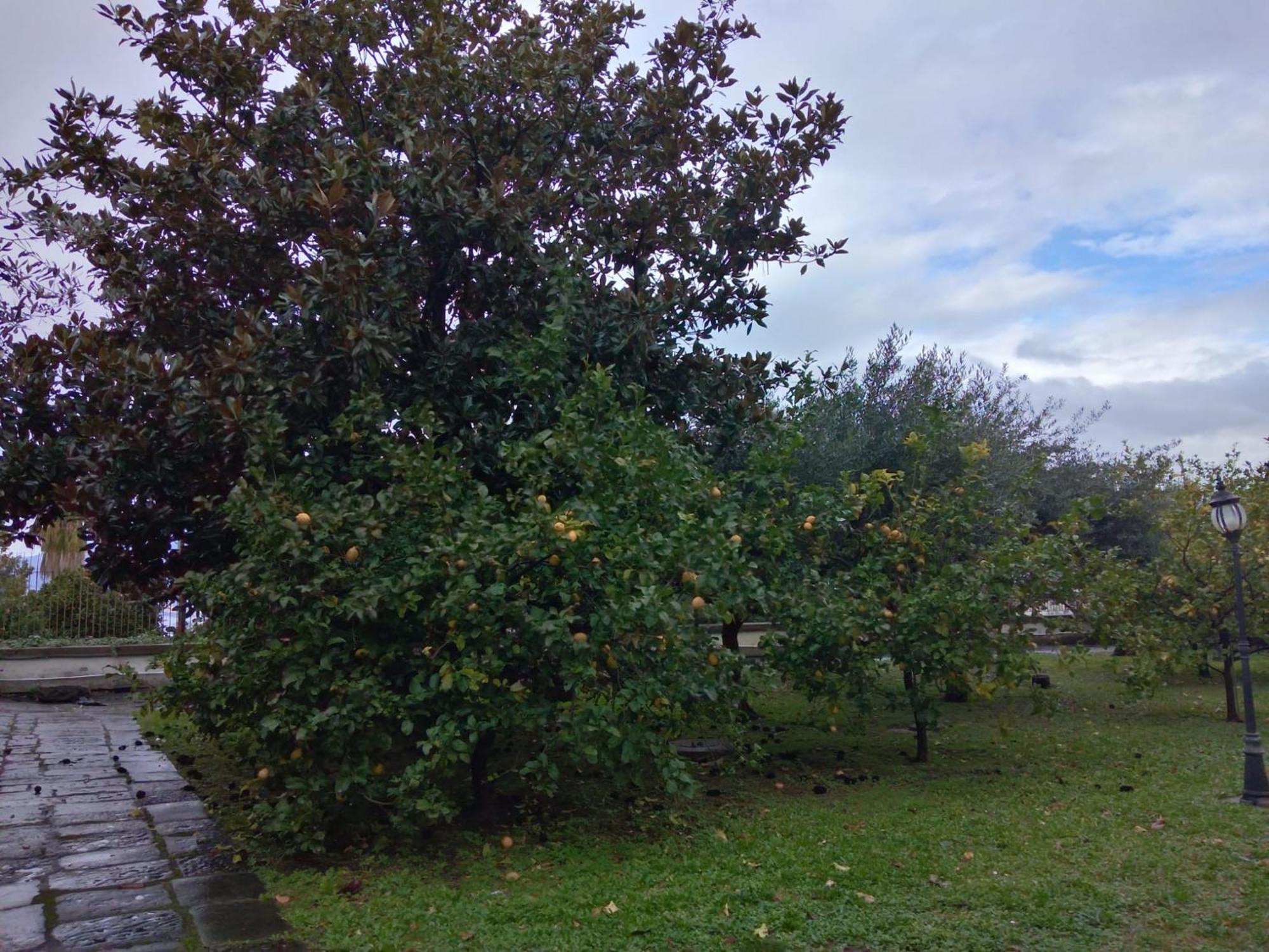 Villa Pellicano -Il Nido Castellammare di Stabia Exterior foto